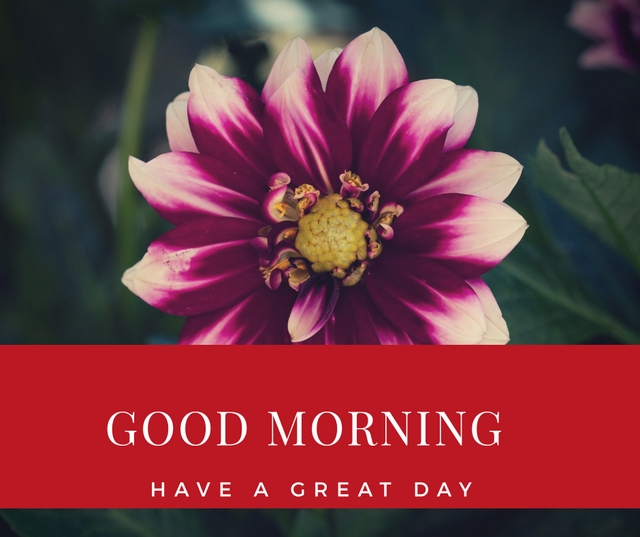 good morning images with flowers hd download