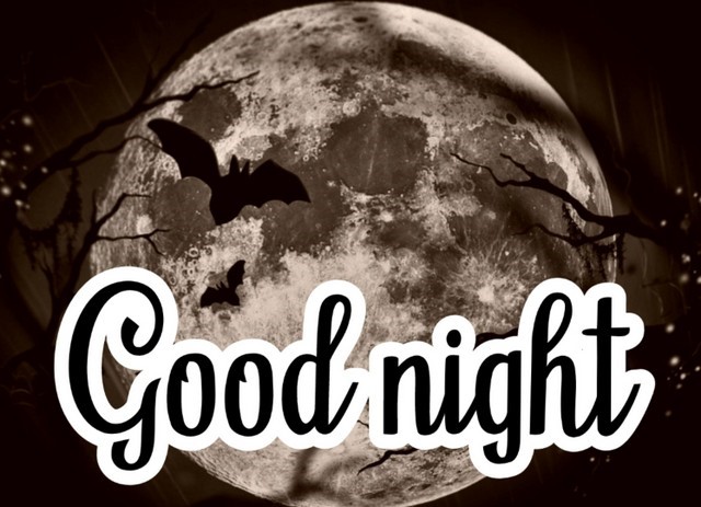 good night moon image