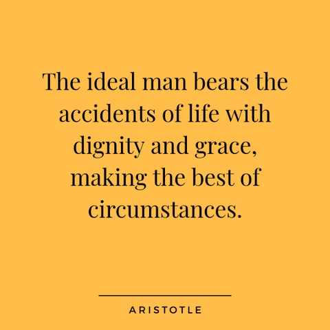 Aristotle quote on life meaningful