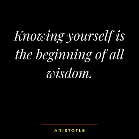 Aristotle quote on life wisdom
