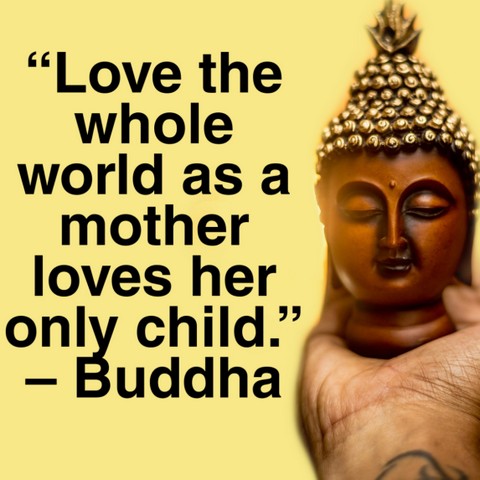 buddha quotes on love and life