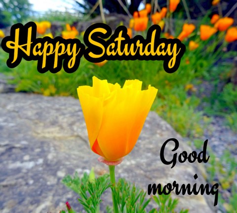 Happy-Saturday-good-morning-images