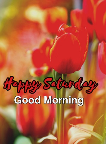 Happy-Saturday-good-morning-images