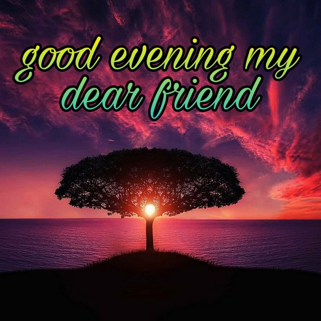 good evening my dear friend