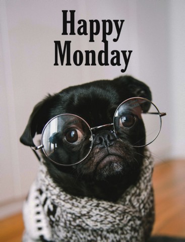 happy monday image with puppy