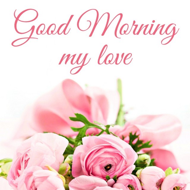 good morning my love image 