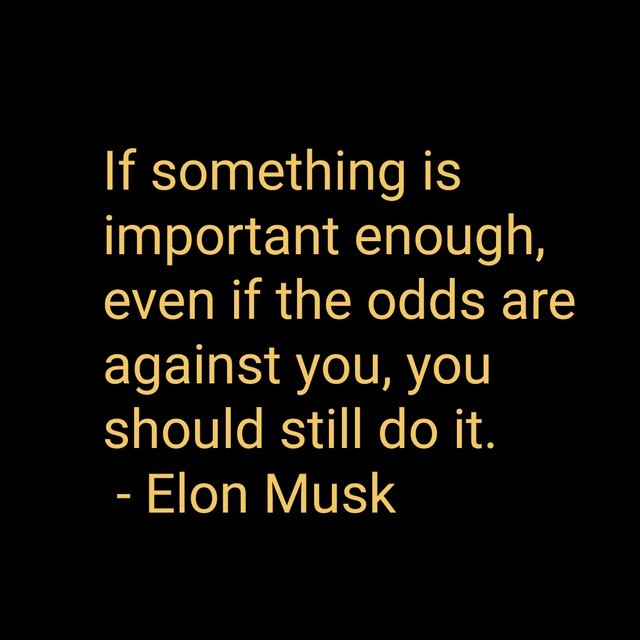 motivational quotes by elon musk