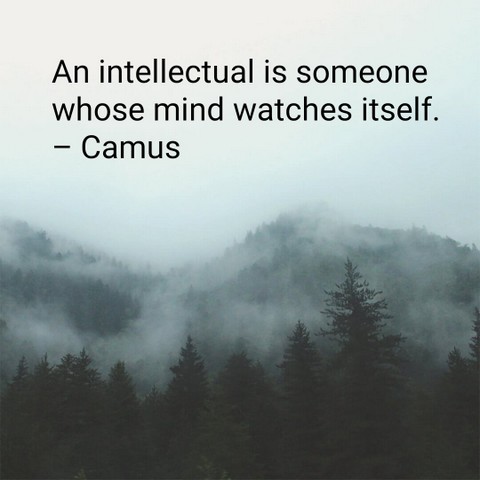 intellectual mind quotes