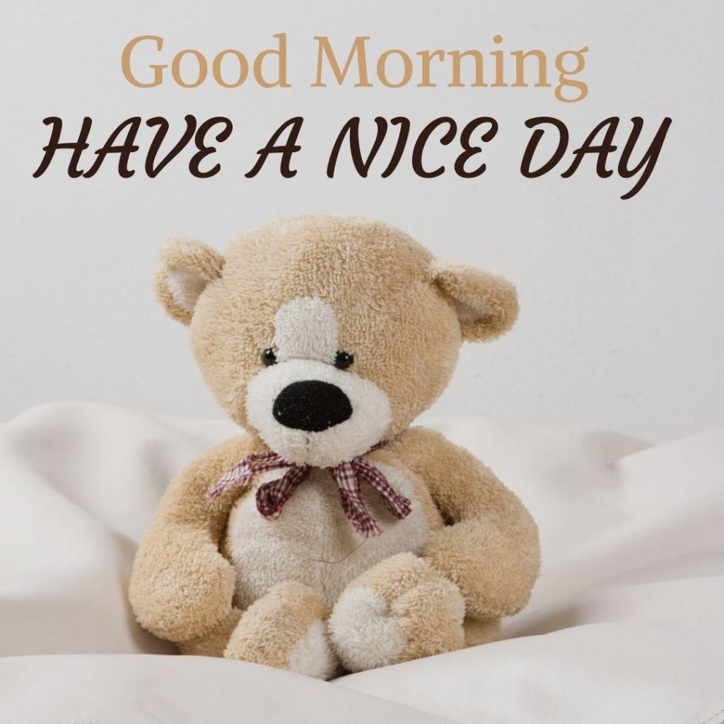 have a nice day teddy bear images