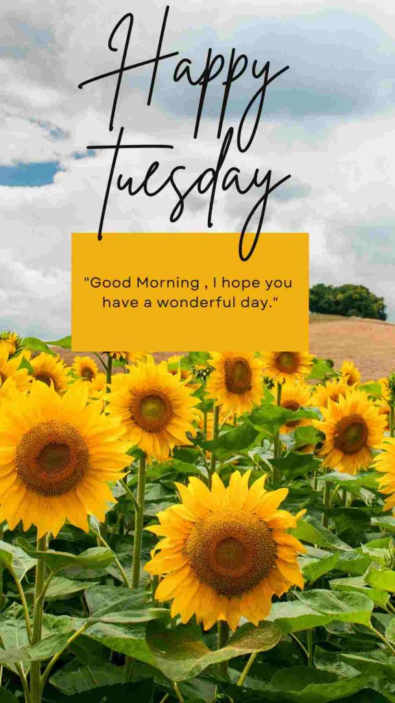 happy tuesday images and quotes